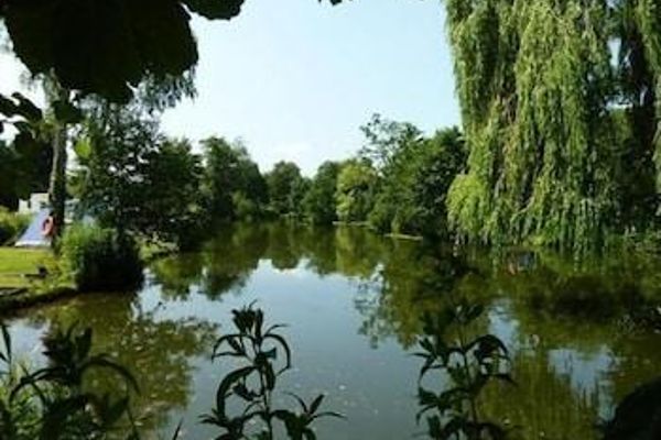 Hotel Langdale Lodge Bed & Breakfast (Lincoln)
